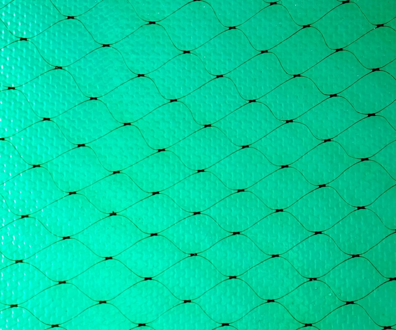 UV Diamond Fibre Sheet Roll with Net (Green)